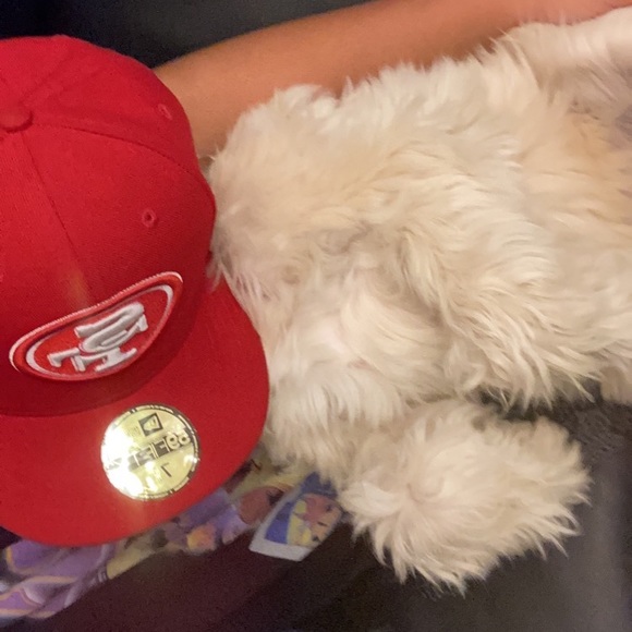 Meet your Posher, Jared - Picture 1 of 1